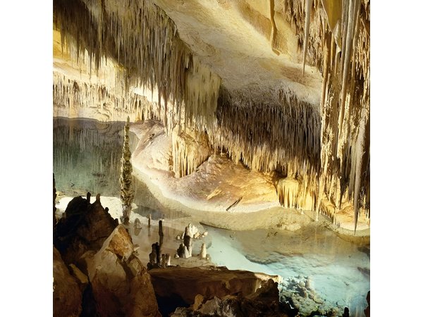 Guided Full-Day Tour of Drach Caves, Porto Cristo & Pearl Factory