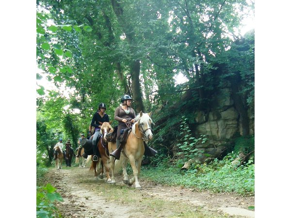 Horse riding in the French countryside between Paris and Lille