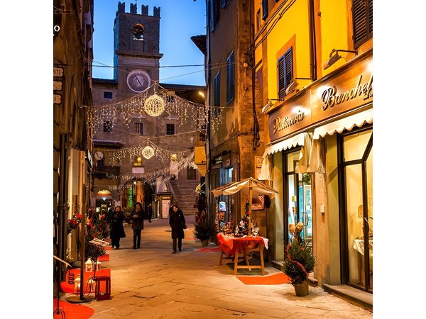 Private tour from Florence to CORTONA & MONTEPULCIANO