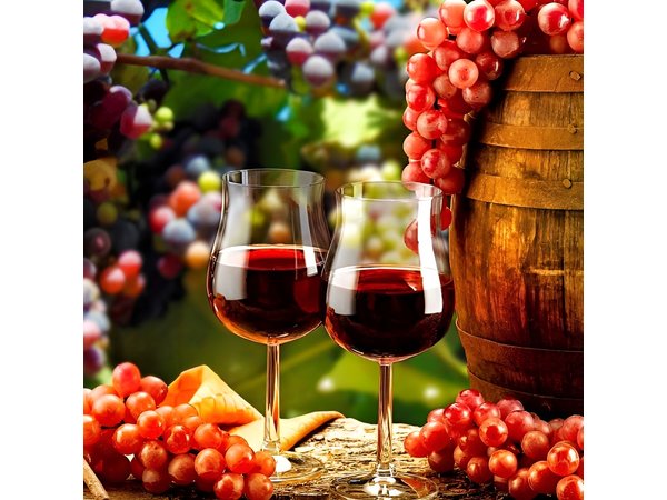 Douro Valley Private Wine Tour From Lisbon