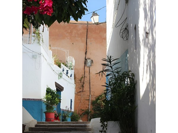 Tangier Day Trip from Seville with Lunch Included & Local Guide