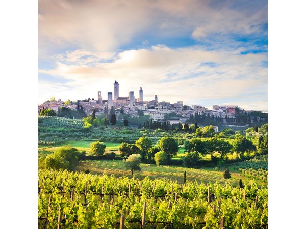 Florence: Siena, San Gimignano Wine Tasting & Lunch Private Tour