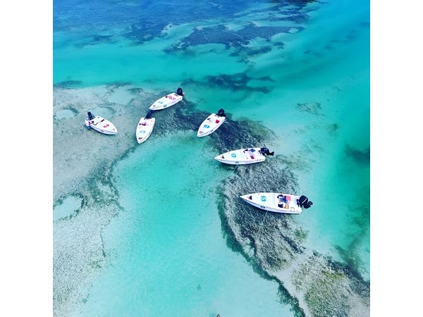 Key West Safari Eco Sandbar Tour Adventure with Snorkeling