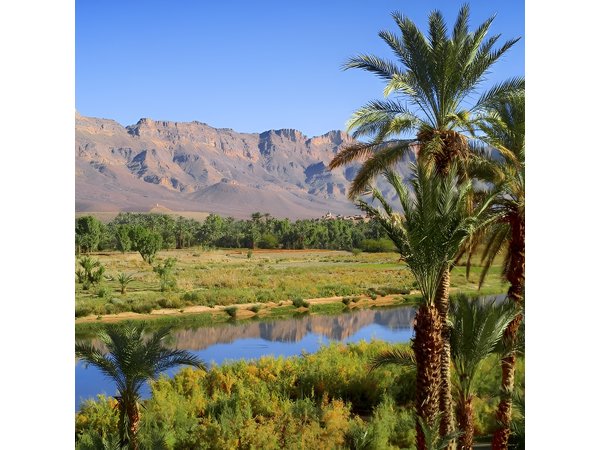 Desert Odyssey: A 2-Day Journey from Marrakech to Zagora