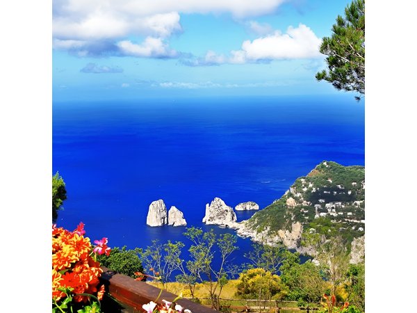 Capri Private Tour with Island Boat Tour from Rome