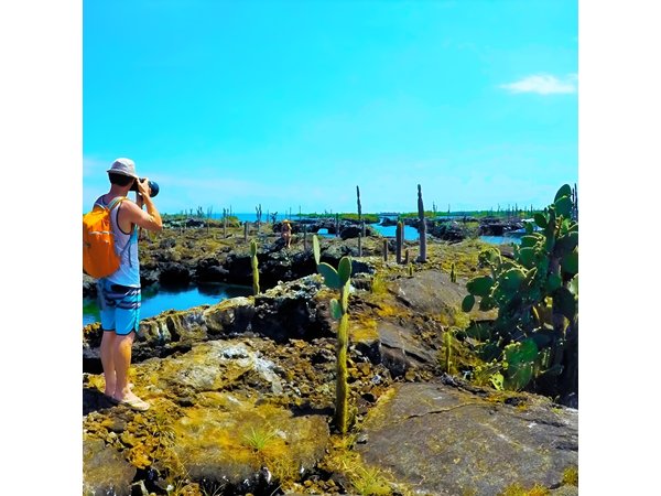 6-Day Galapagos Island Hopping Tour: Santa Fe, Santa Cruz and Los Tuneles