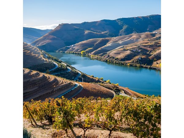 Douro Valley: private tour with lunch and wine estate all inclusive