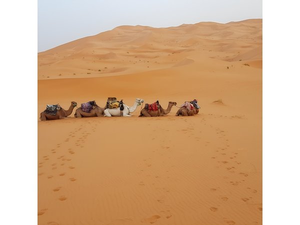 4 Days Desert tours from Marrakech