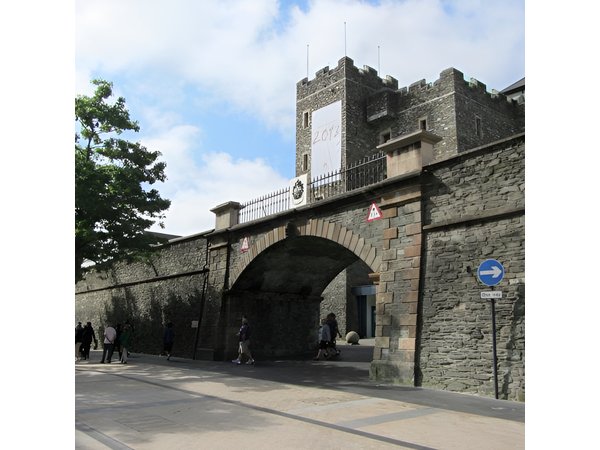Derry Londonderry Private Luxury Full Day Tour From Belfast