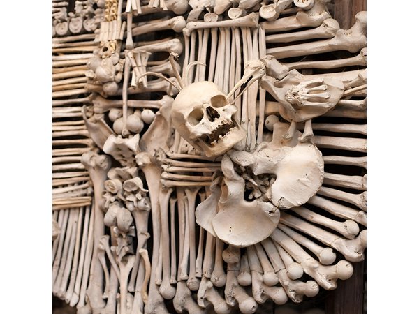 Day Trip to Kutná Hora by train from Prague