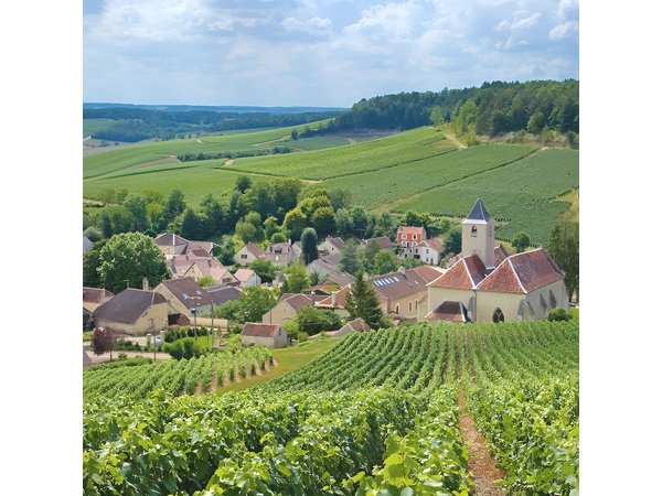 Private Champagne tour from Paris