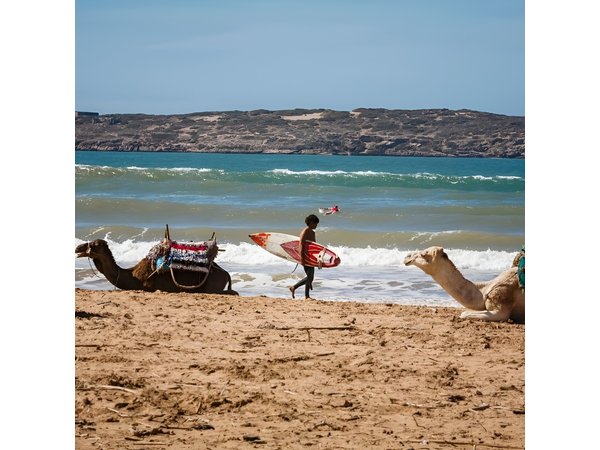 Full day Tour Essaouira Day Tour from Marrakech