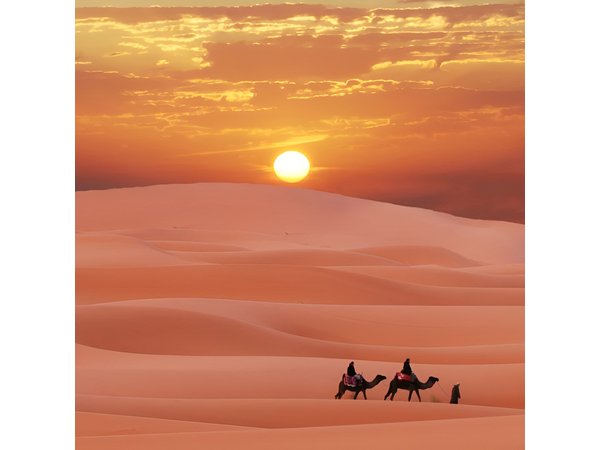 Merzouga desert tour from Marrakech & camel ride