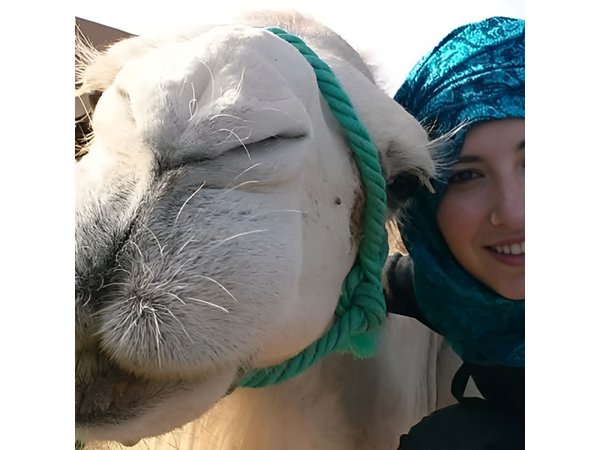 4 Days From Fez To Marrakech Desert Tour