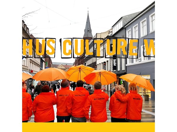 Historical Walking Tour in Aarhus