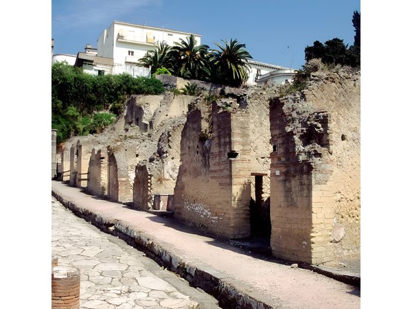 Naples: Pompeii, Herculaneum, and Vesuvius Tour by Minivan