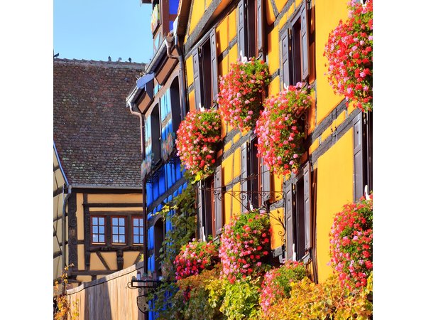 Alsace's Gems Small Group Day Tour from Colmar