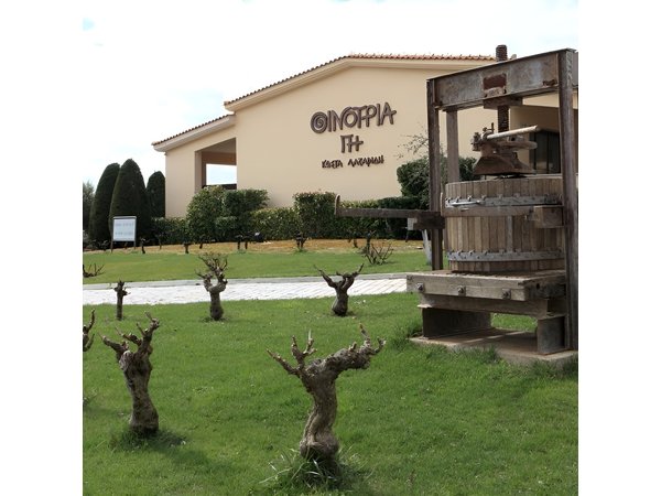 Private 4x4 Wine Tour from Athens to Marathon Lake and a Winery