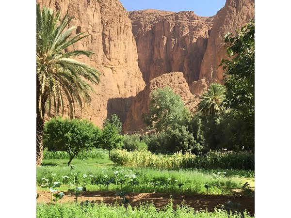 Day trip to the three valleys from Marrakech
