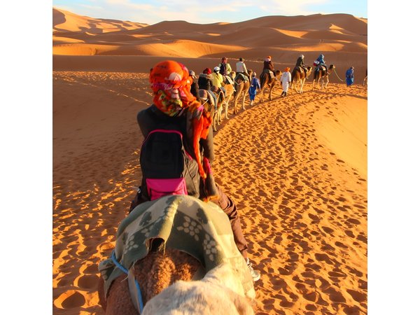 Fez to Marrakech Camel Trekking 3 days 2 Nights