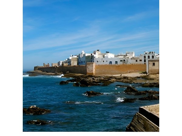 Essaouira: Private or Small-Group Day Trip from Marrakech