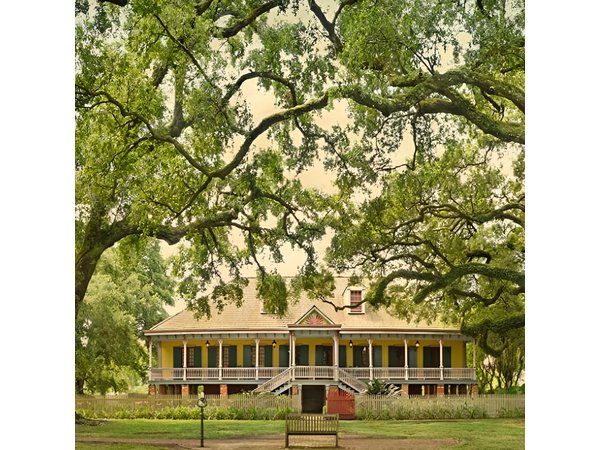 Small-Group Laura and Whitney Plantation Tour from New Orleans