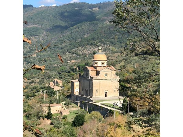 Montepulciano Wine and Pienza Flavours Private Day Tour from Rome