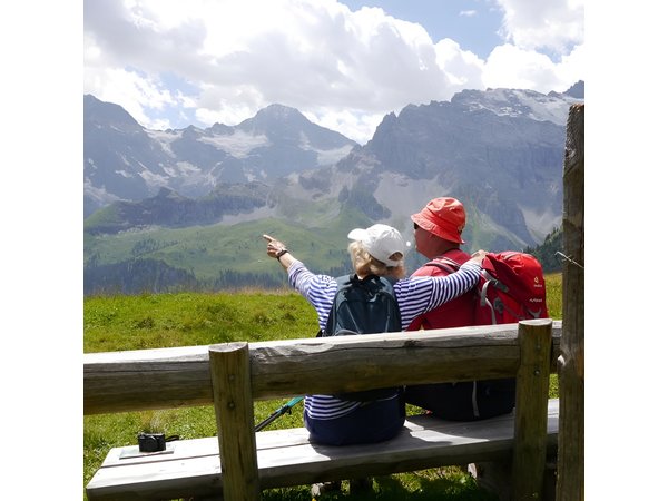Heart of the Alps Private Hiking Tour from Lucerne