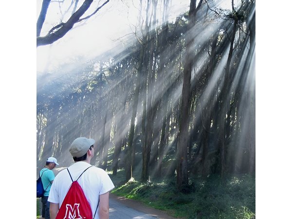 Private Guided Hike in Sintra-Cascais National Park, Lisbon