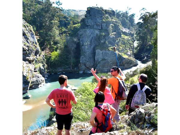 Half-day Hike & Picnic with Dog Love in Porto's Mountains