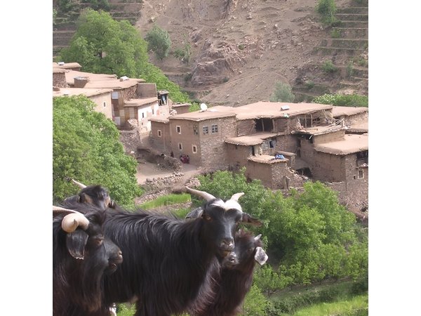 Private Guided Atlas Day Tour from Marrakech with lunch in a Berber family home