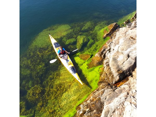 Stockholm Archipelago Kayaking Day Tour