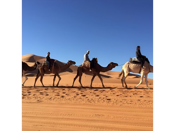 3days -Morocco Désert Tours Start in Fez and end in Marrakech