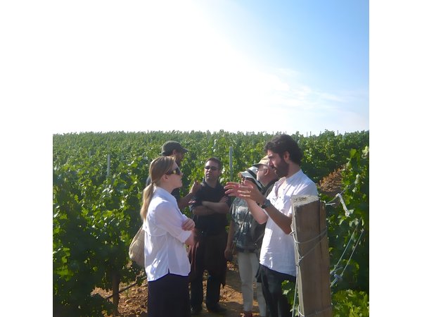 Madrid Countryside Wineries Guided Tour with Wine Tasting