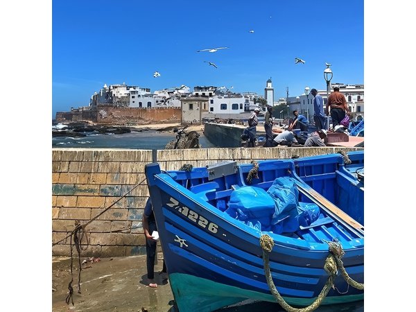 Private day trip to Essaouira from Marrakech