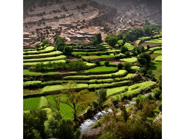 Private excursion to the Ourika Valley from Marrakech