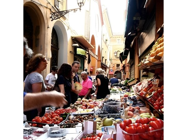 Bologna Private & Personalized Half-Day Tour with a Local Guide