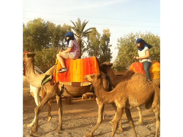 Marrakech Camel Ride Tour