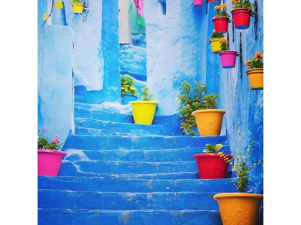 The best of Morocco 8 Days 7 night Private tours from Marrakech to Marrakech