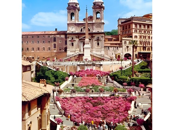 Rome private Guided Tour with driver