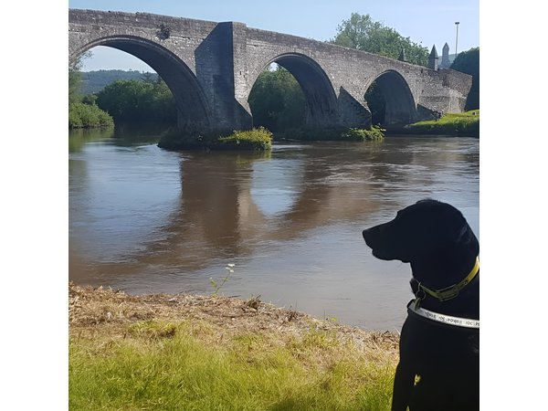 Braveheart (Battle of Stirling Bridge) Tour