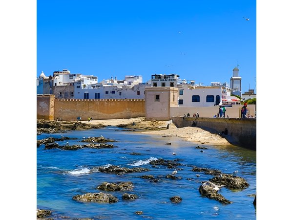 Essaouira Day Trip From Marrakech