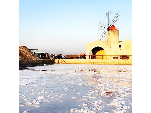 SALT TOUR-all inclusive: salt tour: Trapani, Paceco, Nubia