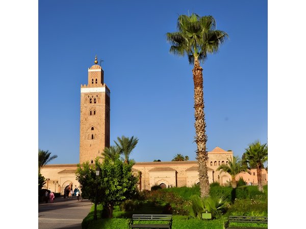 Guided Unveiling the Medina's Wonders of Marrakech