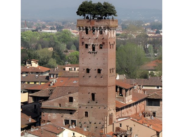 Pisa/Lucca from Livorno