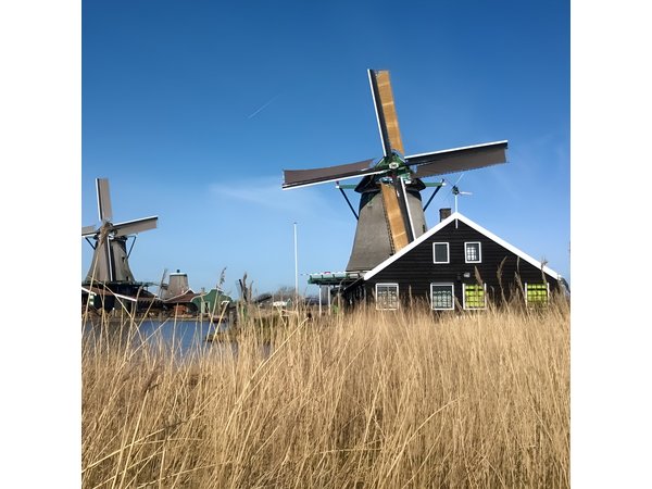 Zaanse Schans and Volendam Private Tour from Amsterdam