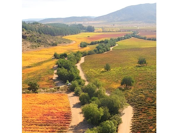 Casablanca Wine Tour with Valparaiso and Viña del Mar