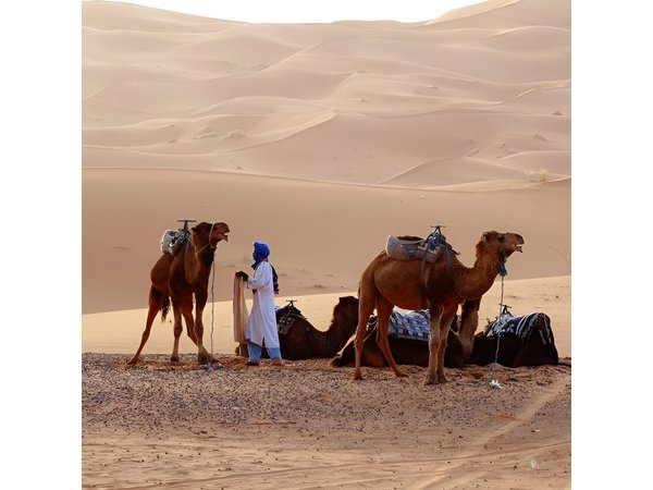 From Marrakech 4 Days Tour To Morocco Sahara Desert