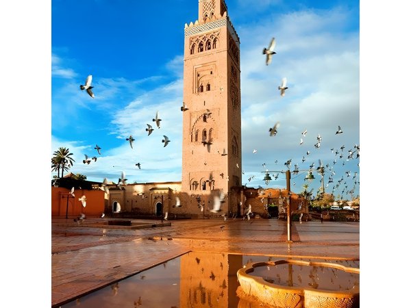 Full day trip to Marrakech from Casablanca