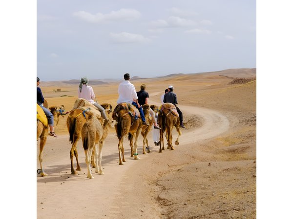 Marrakesh Day Trip From Casablanca With Camel Ride And Lunch At Agafay Desert